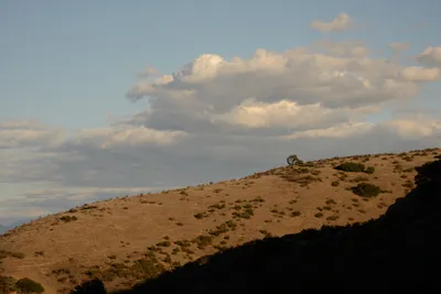 DSC_5546 (Large).JPG